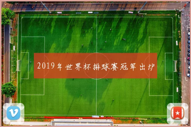 2019年世界杯排球赛冠军出炉